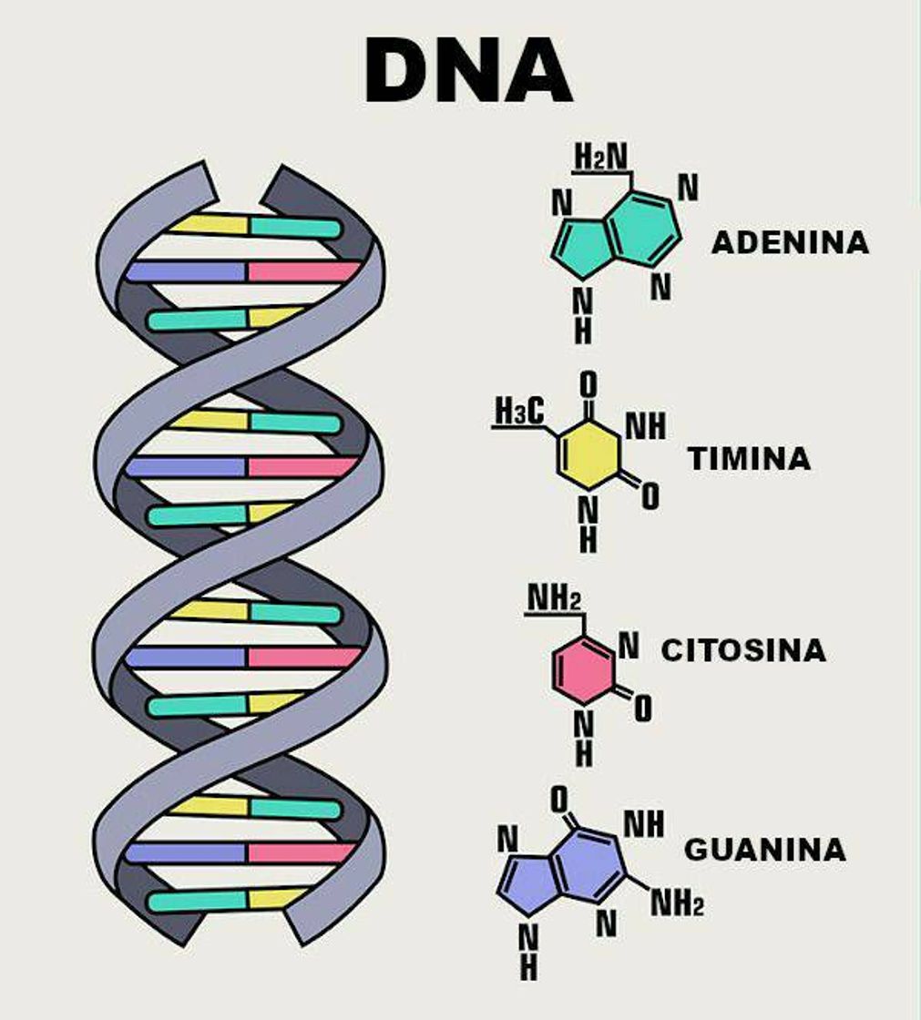 Moda Biologia celular e molecular 🧬🔬