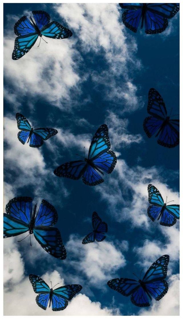 Moda Butterfly - Wallpaper