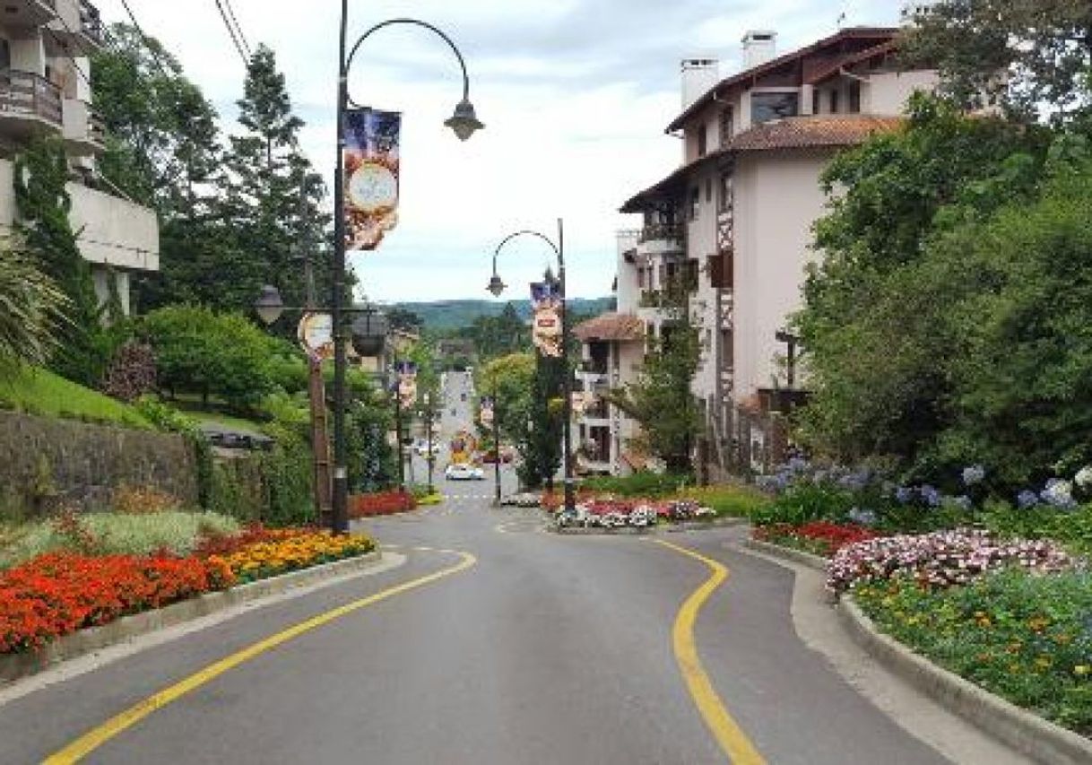 Lugar Rua Torta