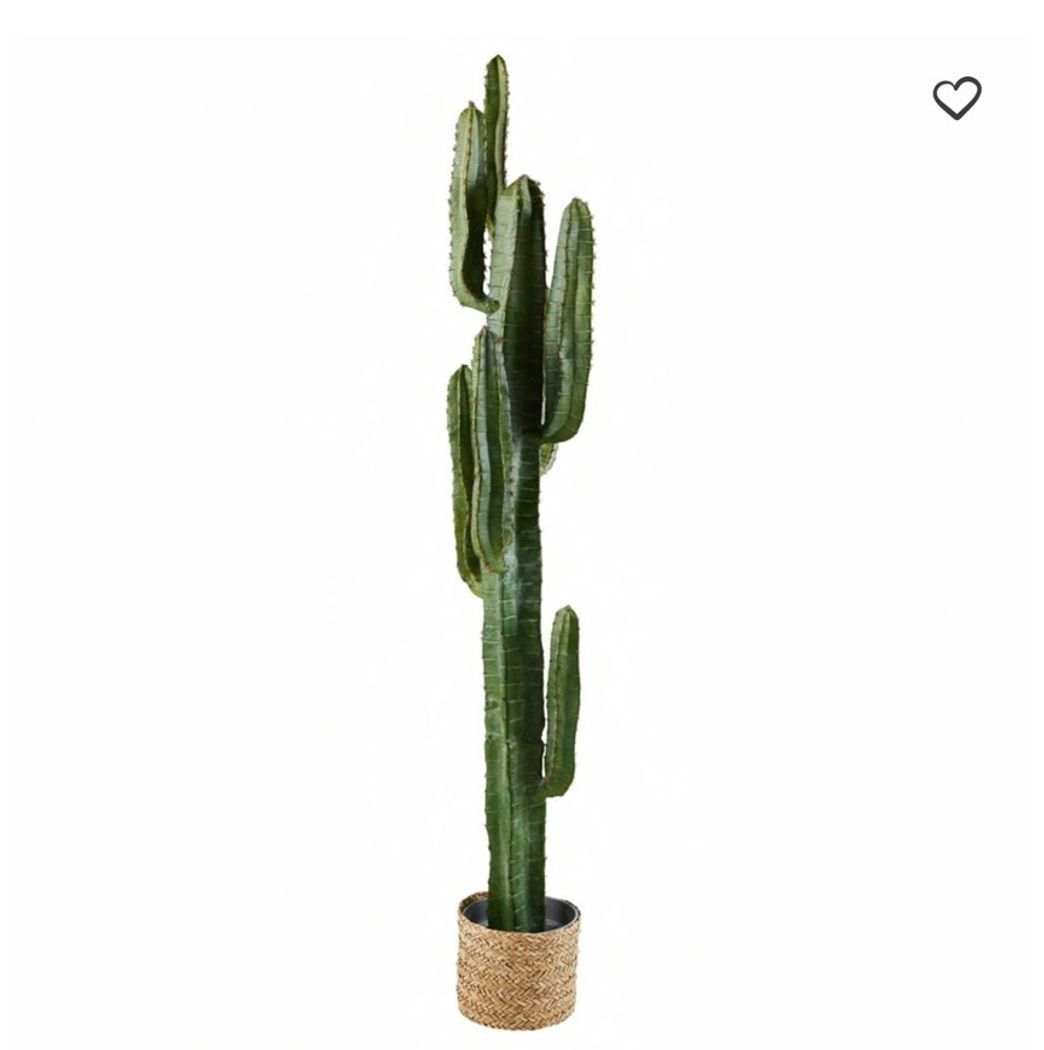 Moda Cactus artificial de exterior en maceta Colorado | Maisons du Monde