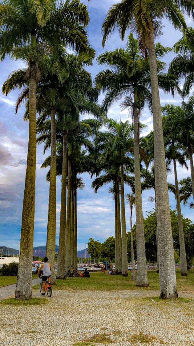 Lugar Parque do Flamengo - Aterro