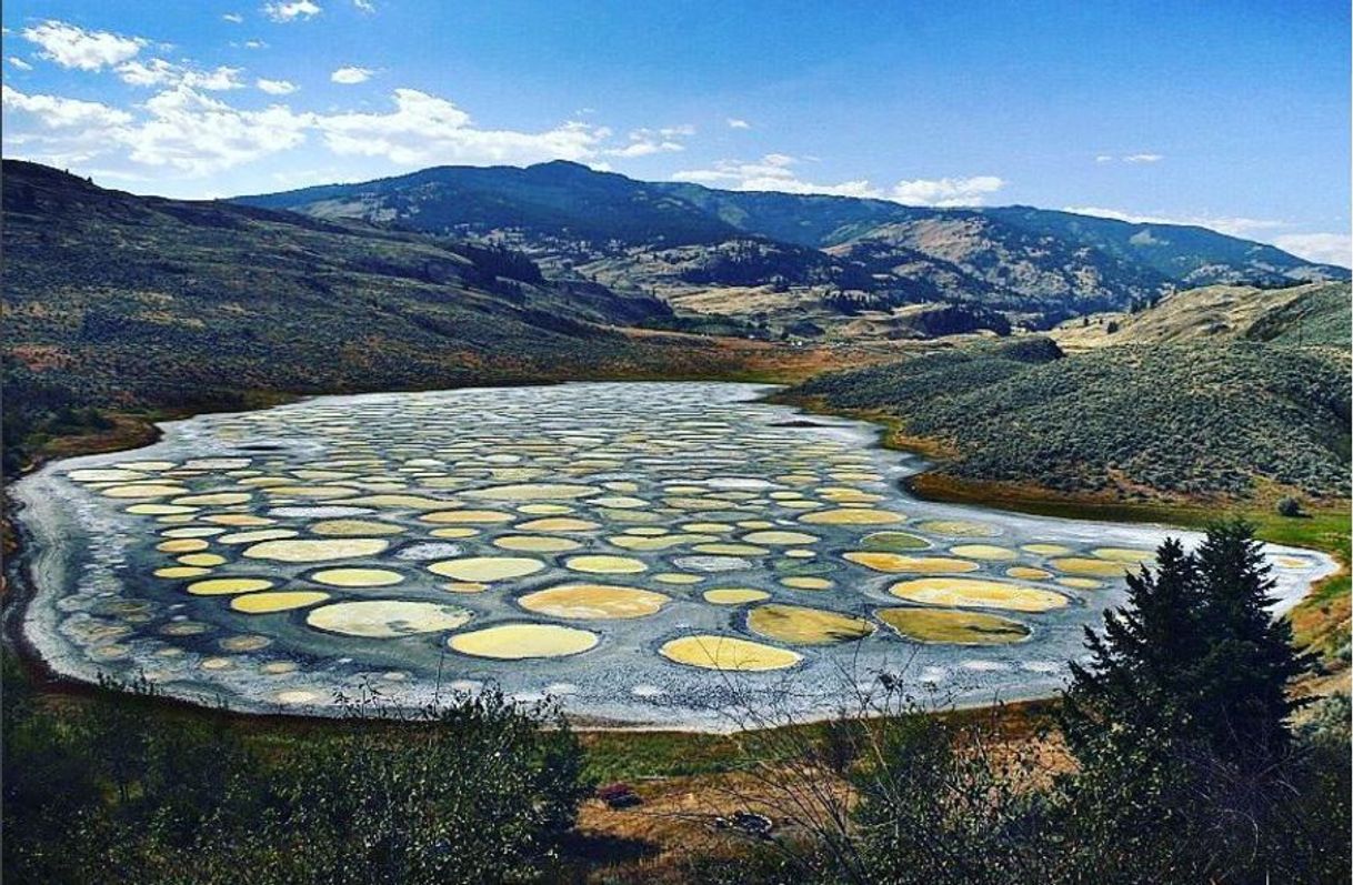 Lugar Spotted Lake