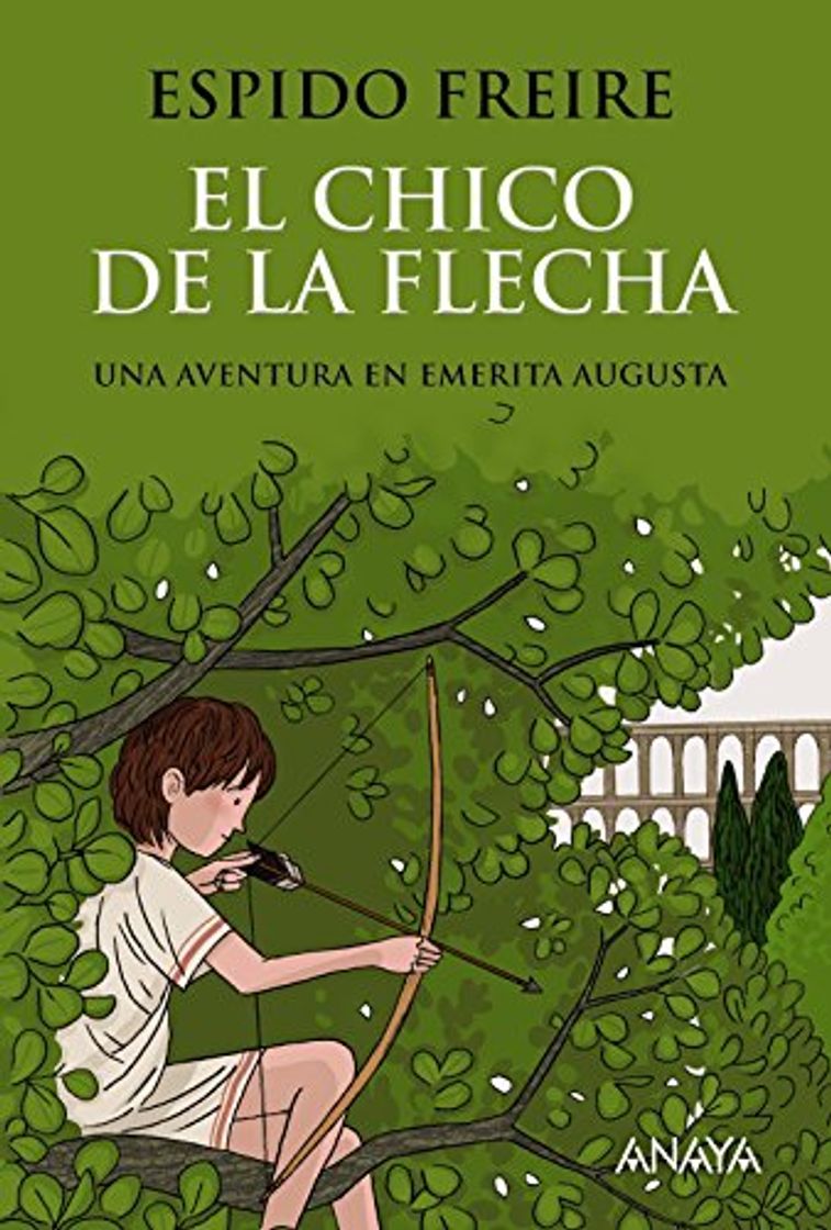 Libro El chico de la flecha