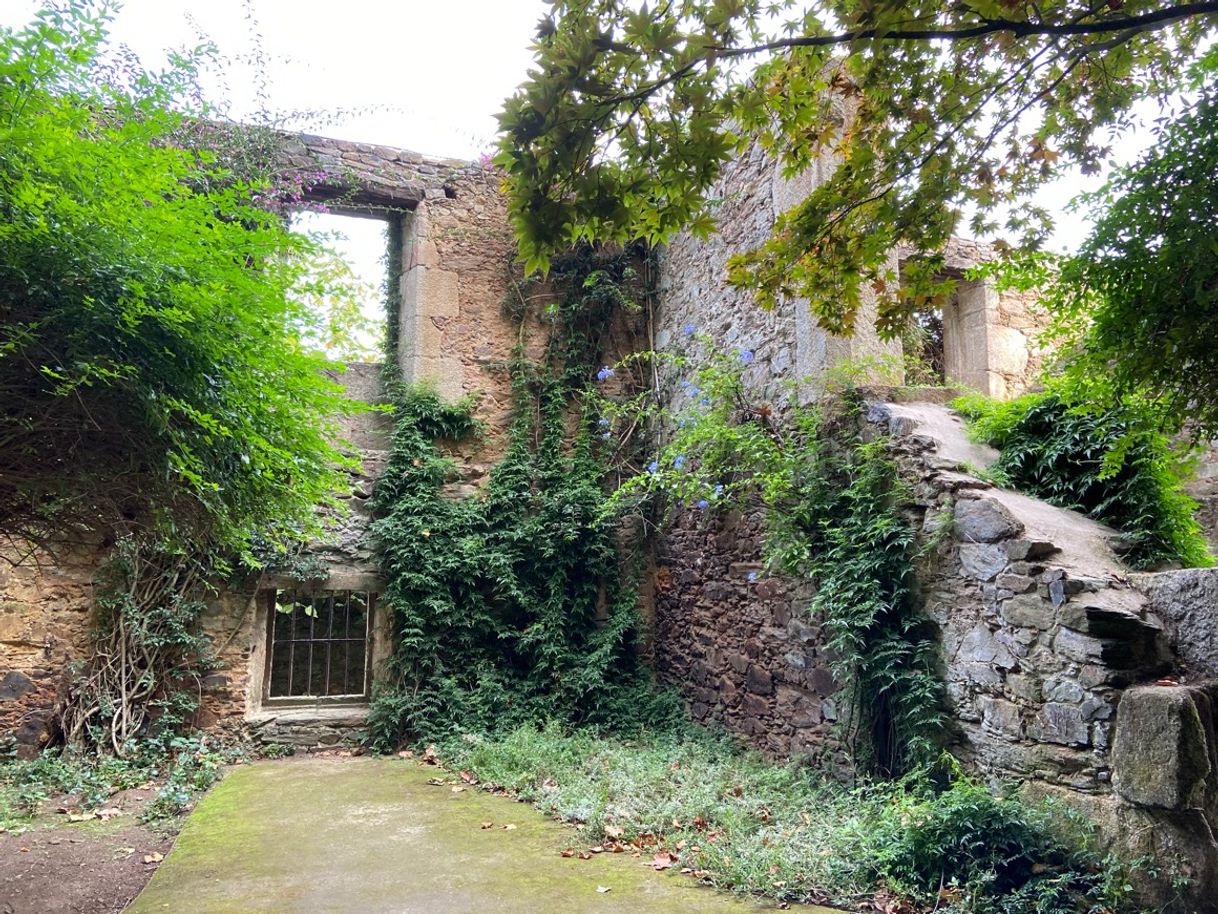 Place Parque de Ibarrola