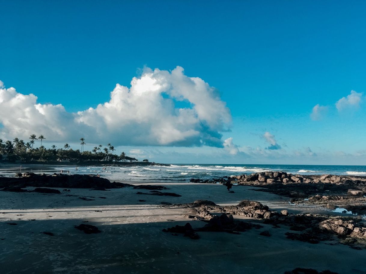 Moda Olivença - Bahia