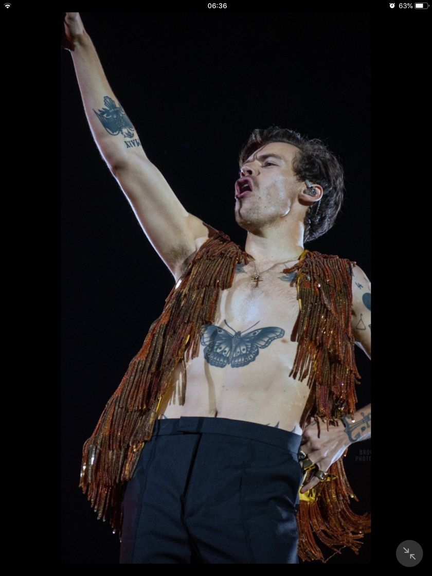 Social harry  styles 