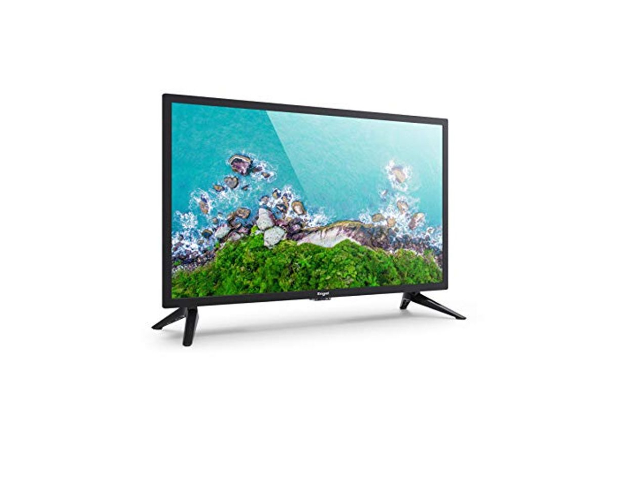 Electrónica Televisor Engel LED 24 Pulgadas PVR Time