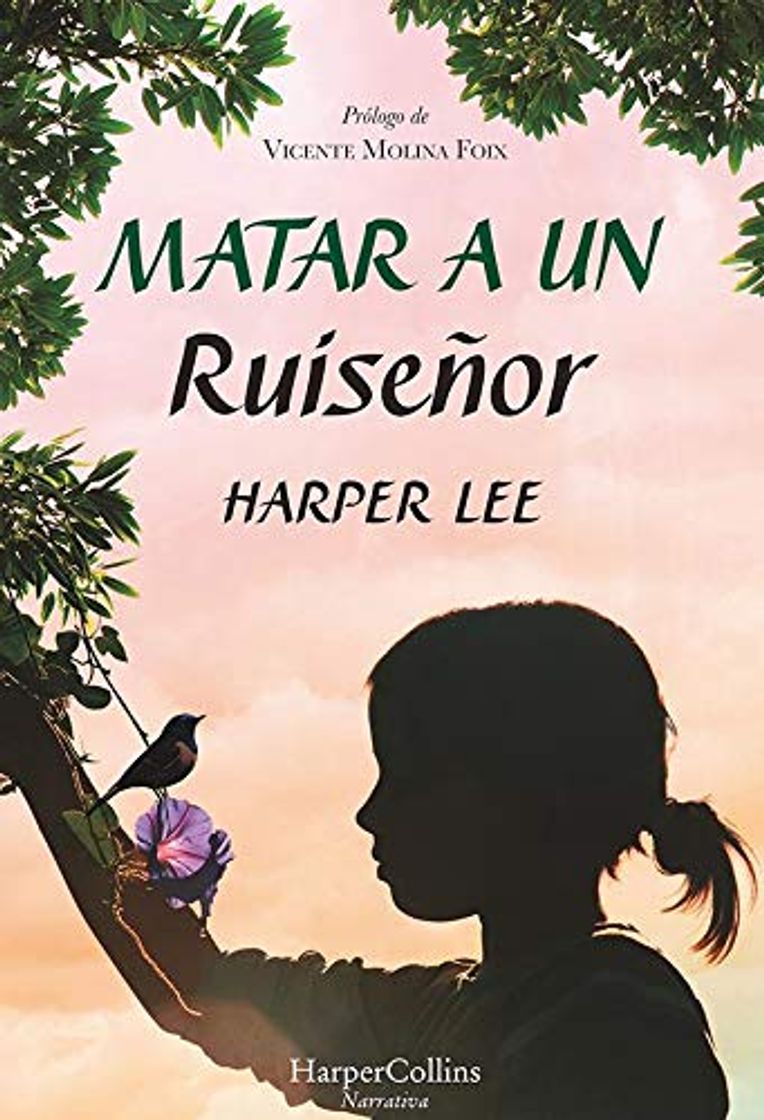 Book Matar a un ruiseñor