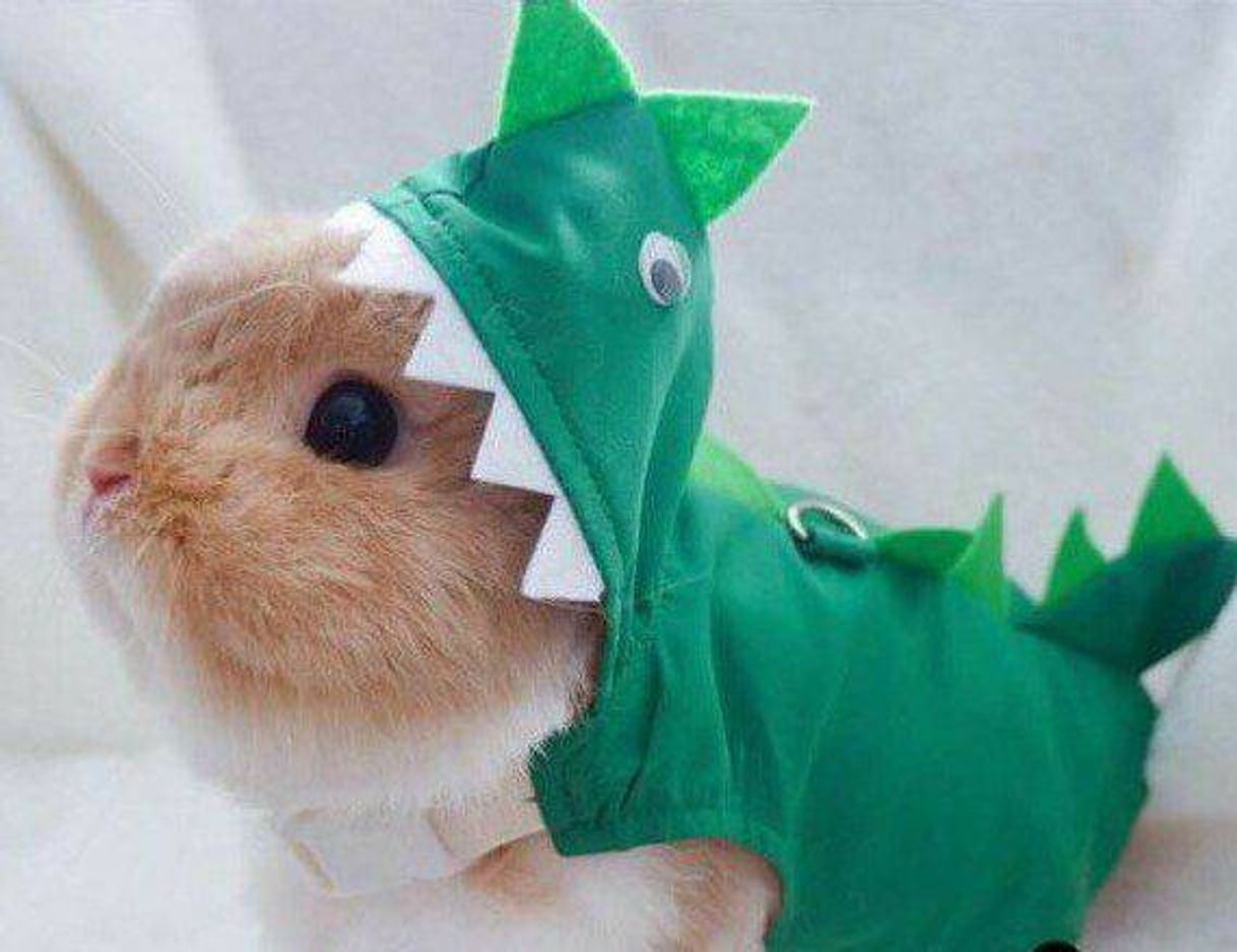 Fashion Hamster dino 