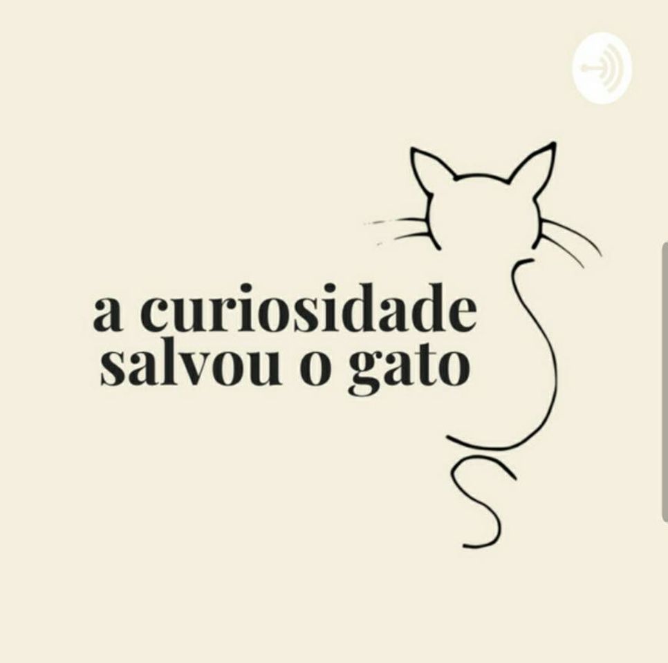 Moda a curiosidade salvou o gato 