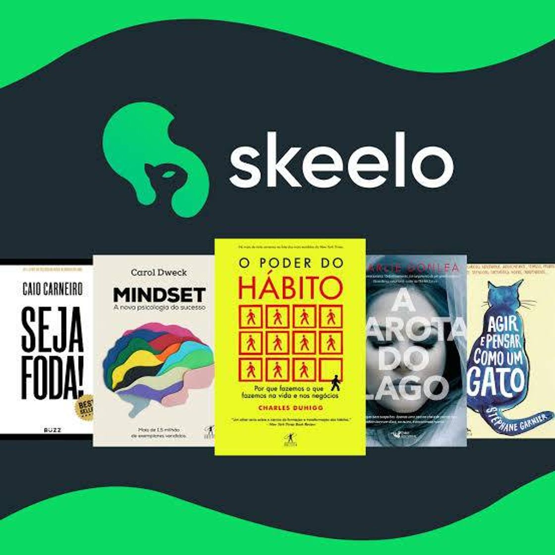 Skeelo 