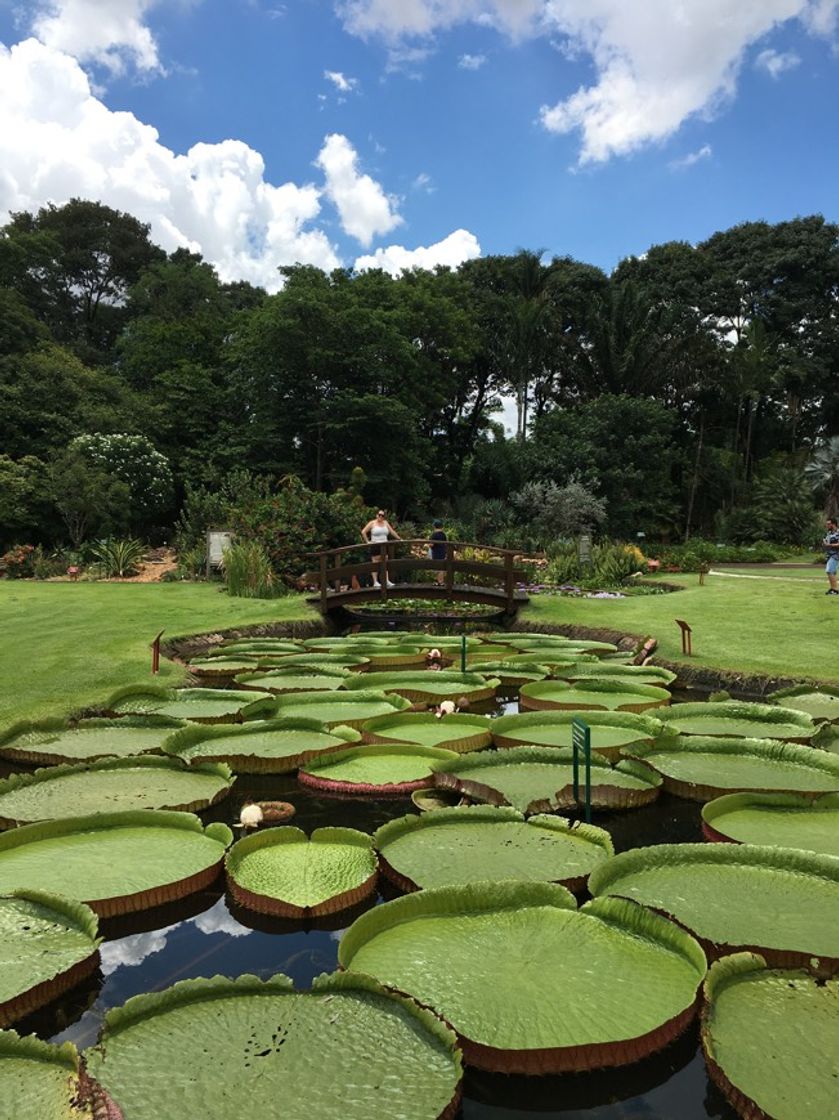 Lugares Jardim Botânico Municipal de Americana "Prefeito Carroll Meneghel"