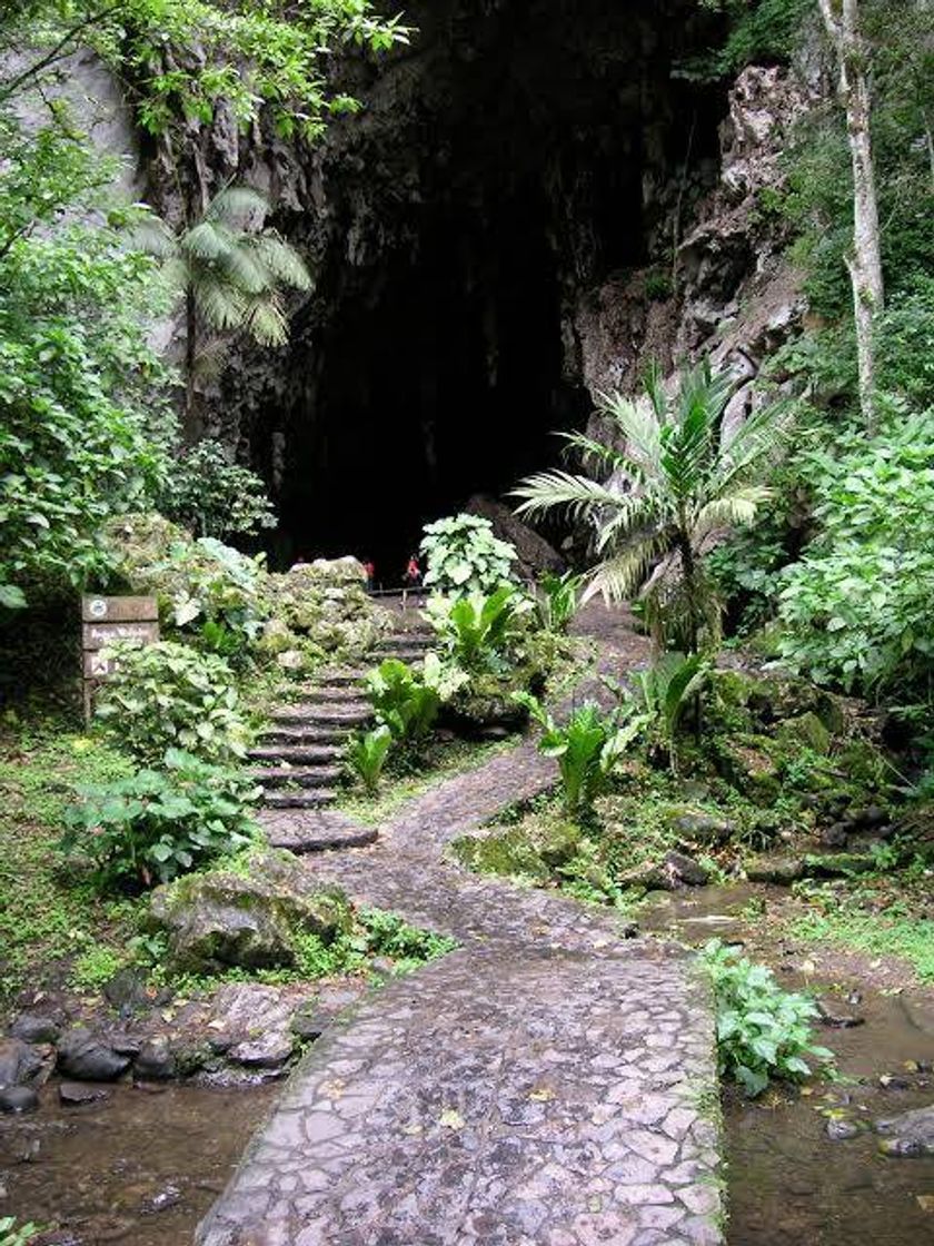 Place Parque Nacional El Guácharo