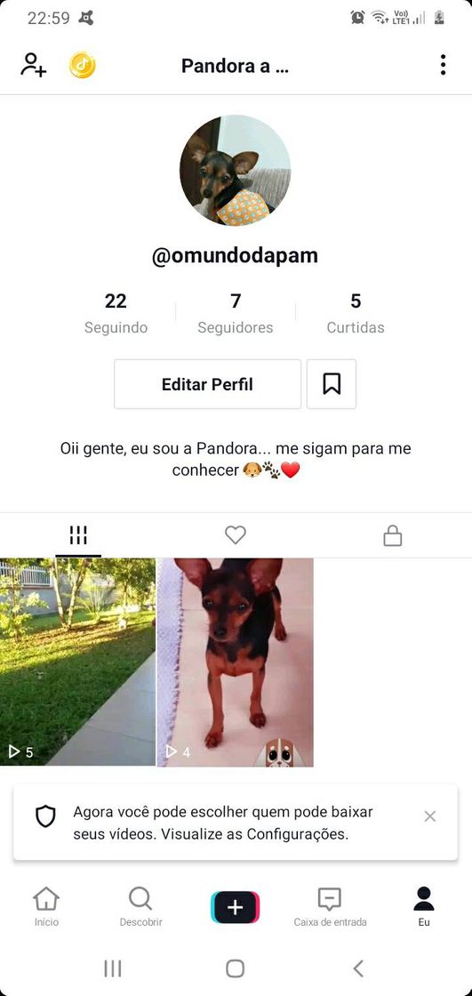 Moda Gente sigam no tiktok, dá uma forcinha lá 🐶🐾🤞