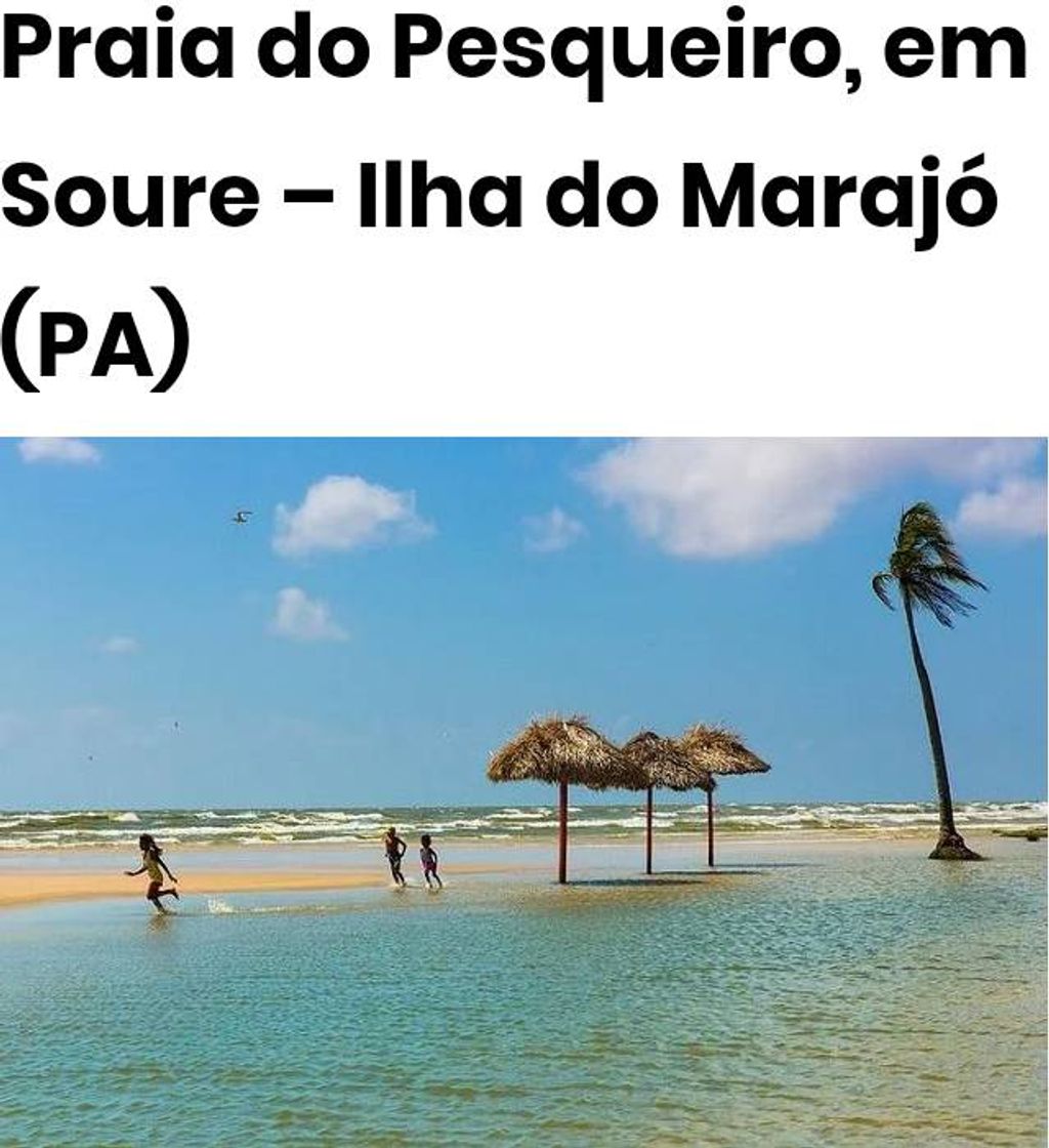 Moda O oceano é mágico e seus seres são encantados 🎶🐬