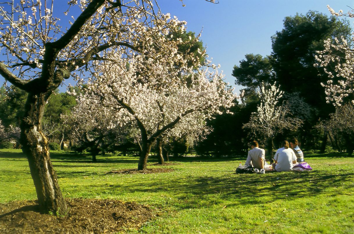 Lugar Parque de la Quinta de los Molinos