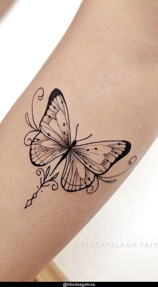 Moda Tatuagem de 🦋