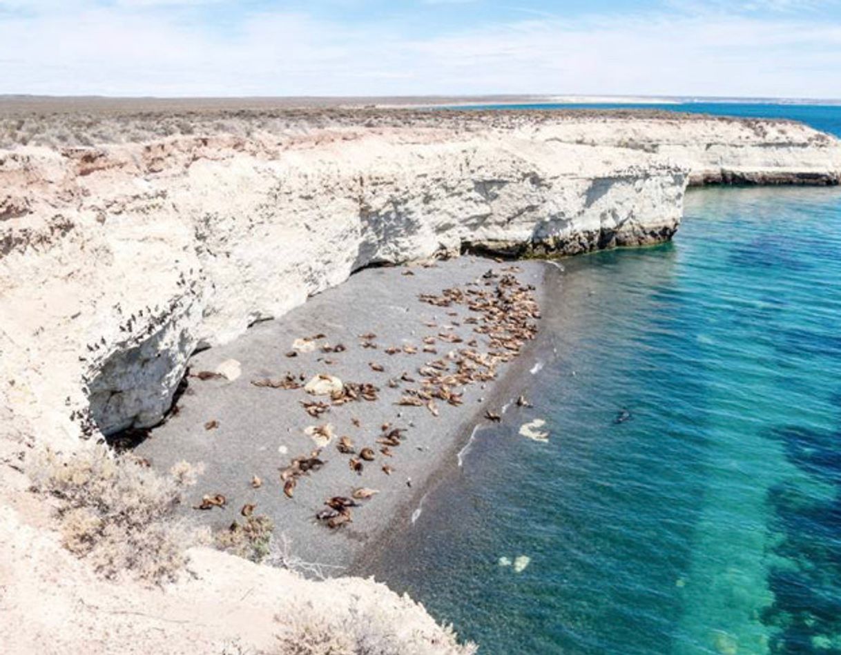 Moda Península Valdés - Argentina 🐚