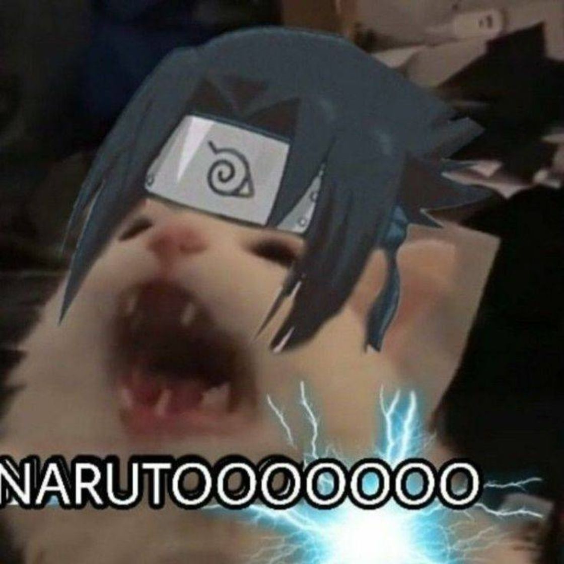 Moda NARUTOOOOOO