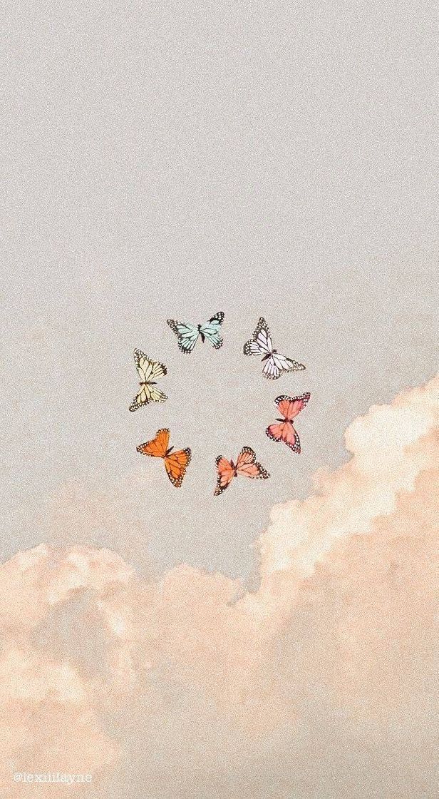 Moda wallpaper 🦋