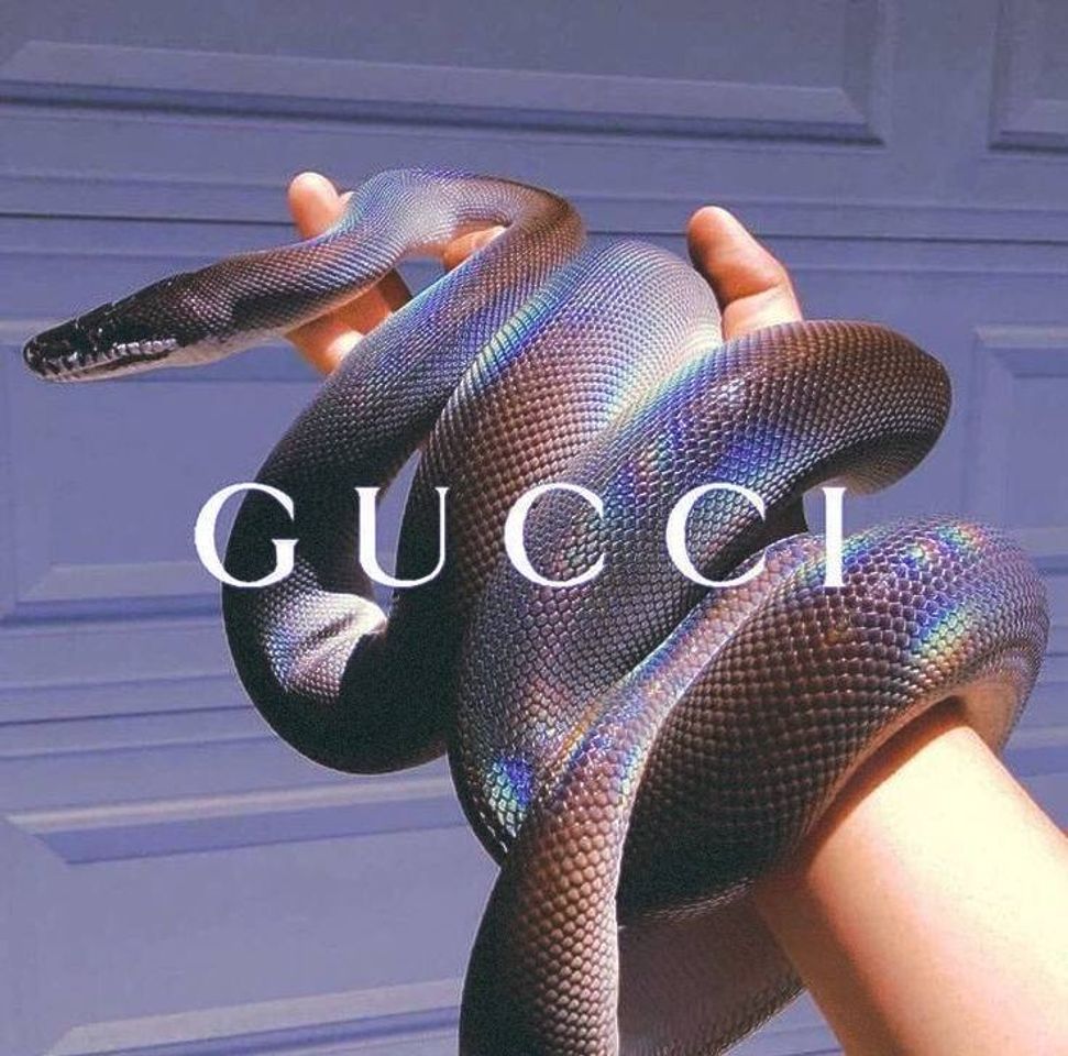 Fashion GUCCI snake in an hand brand aesthetic