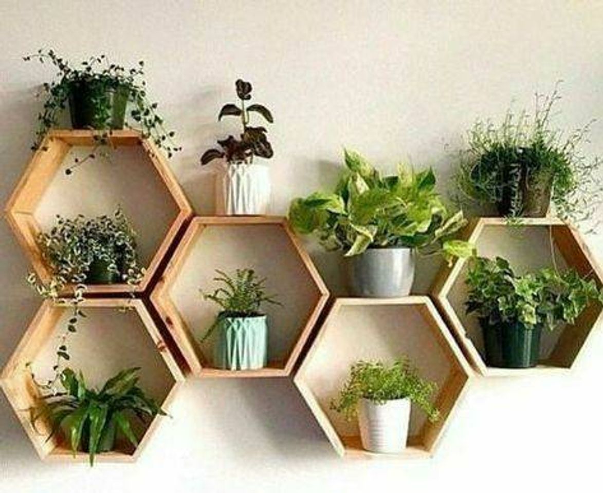 Moda Decoração com plantas 