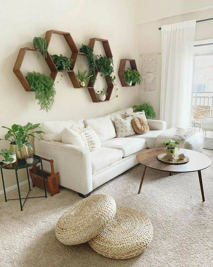 Fashion Decoração com plantas 