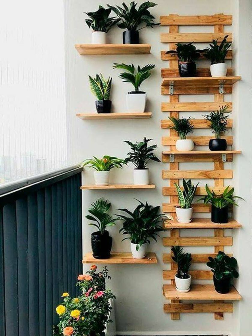 Fashion Decoração com plantas 