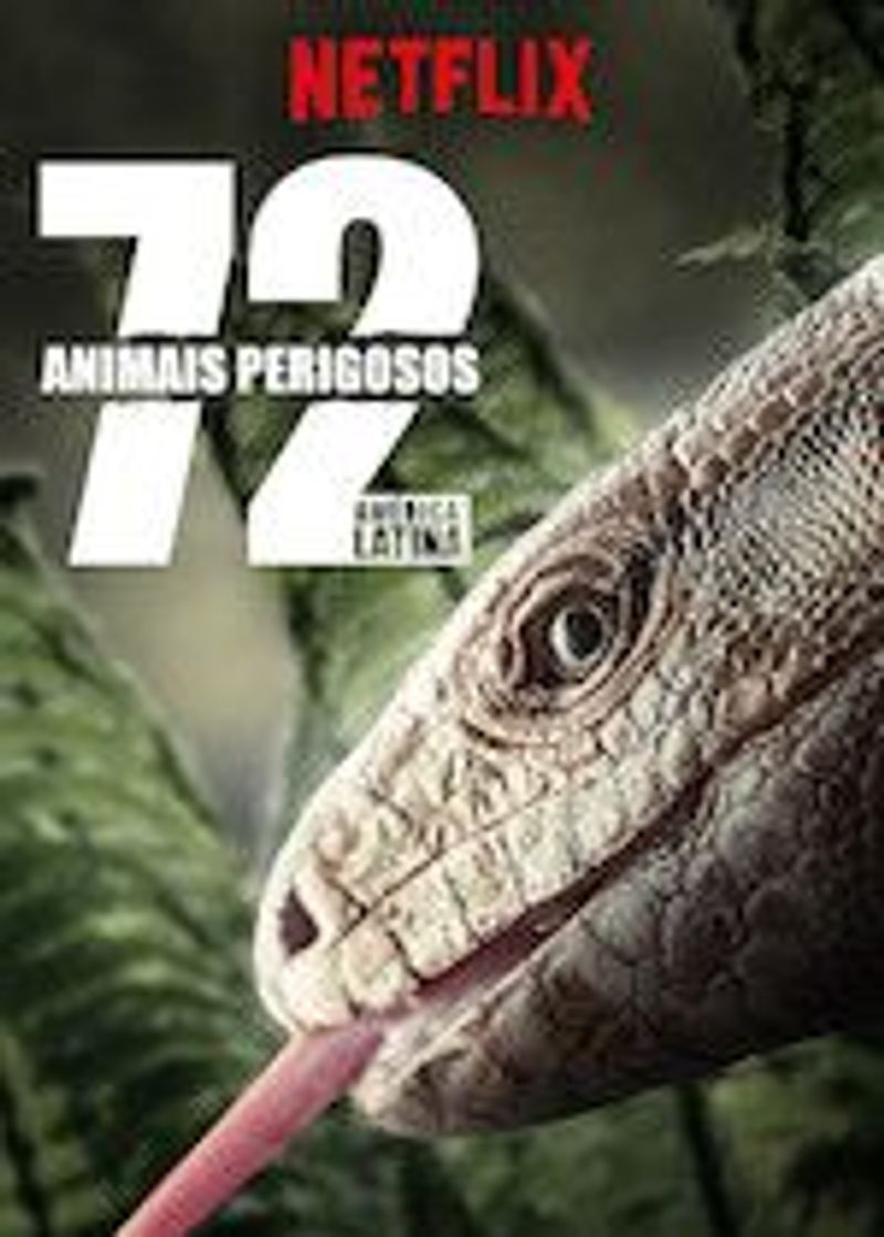 Fashion 72 Animais Perigosos