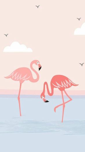 Flamingo 
