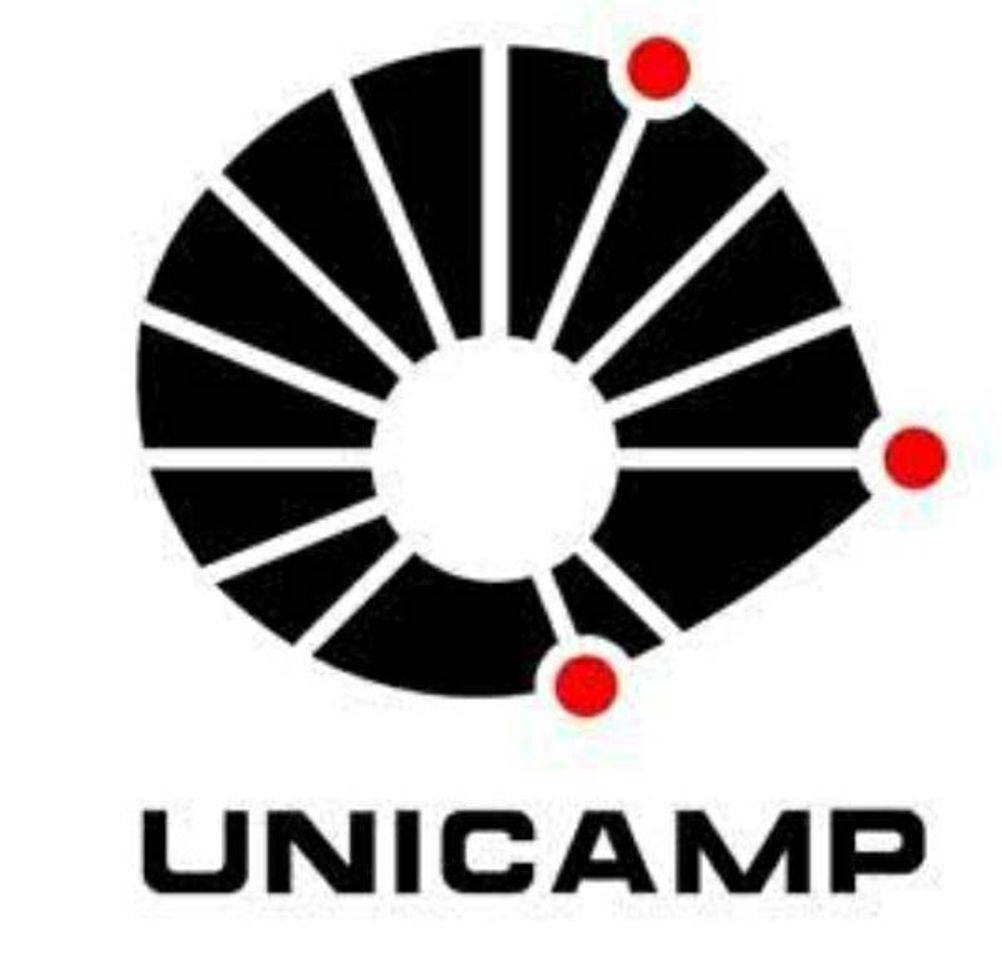 Lugar Unicamp