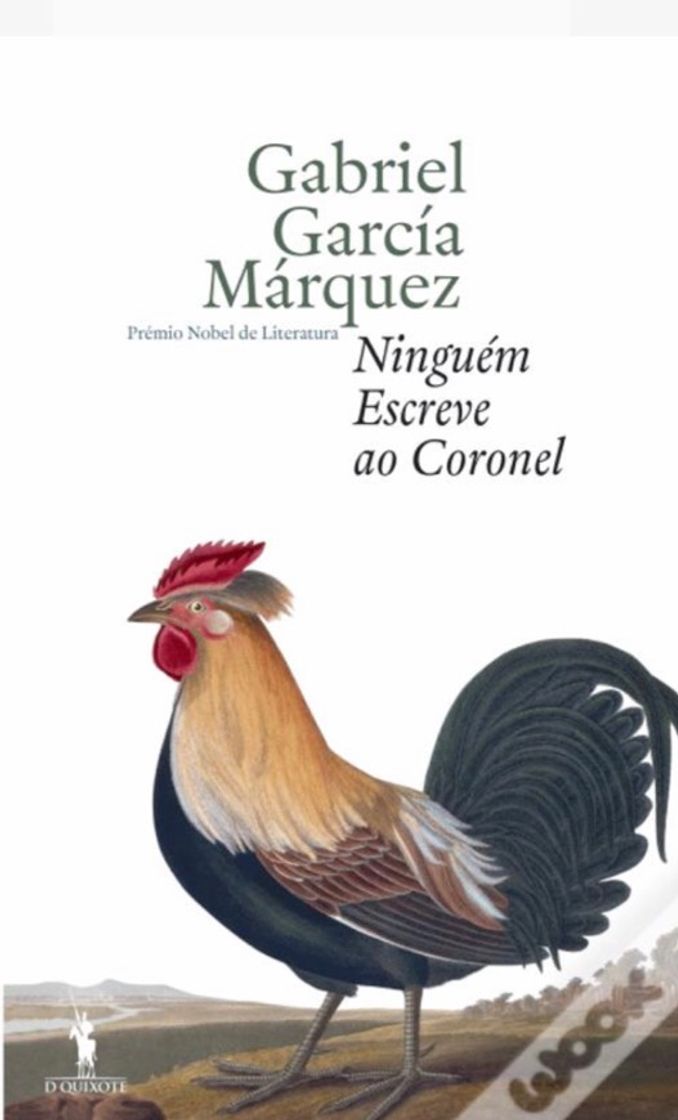 Books Ninguém Escreve ao Coronel