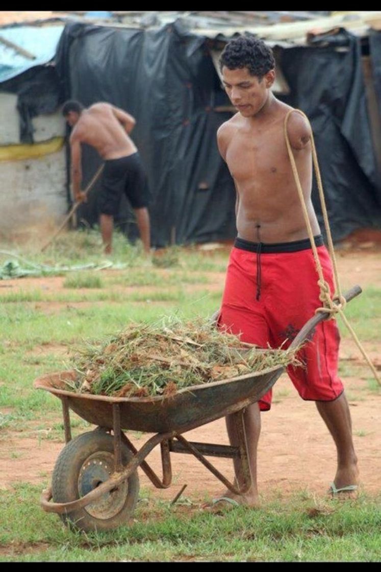 Fashion Vontade é tudo