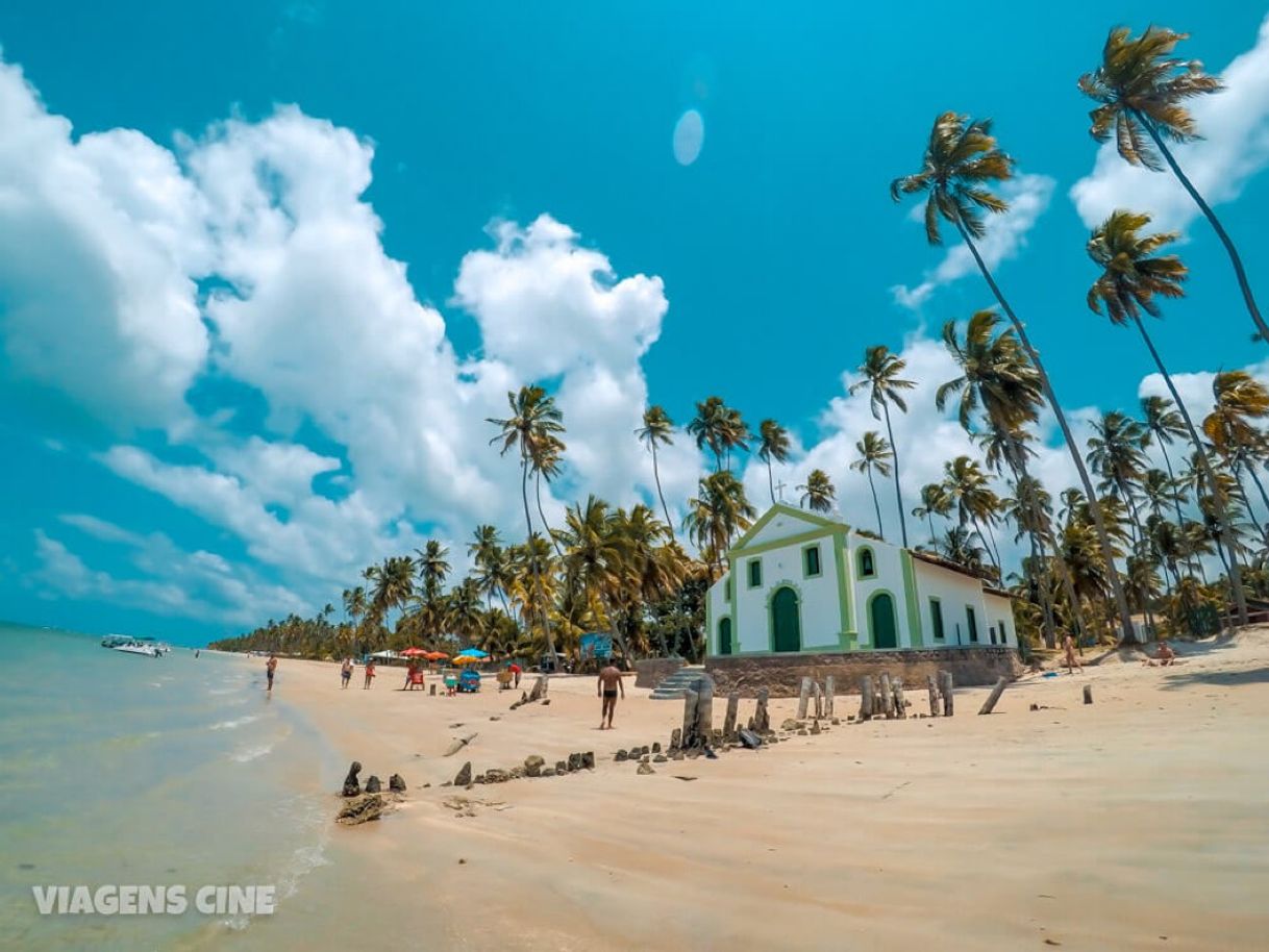 Moda Praia dos Carneiros - Pernambuco 