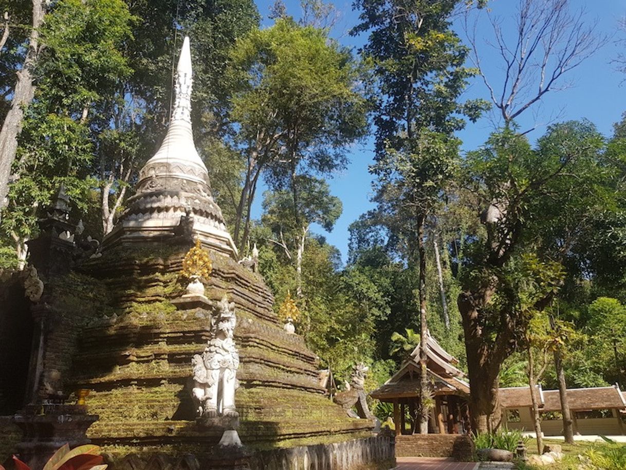 Places Wat Pha Lat Hike (Monk's trail)