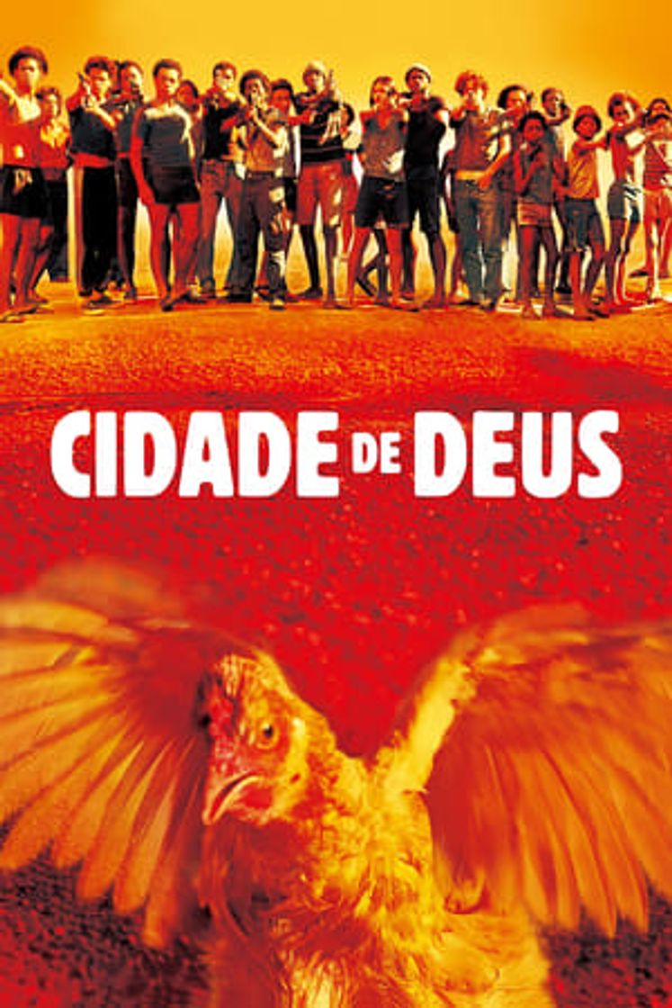 Película Ciudad de Dios