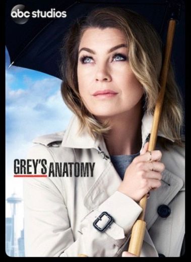 Grey's Anatomy | Netflix