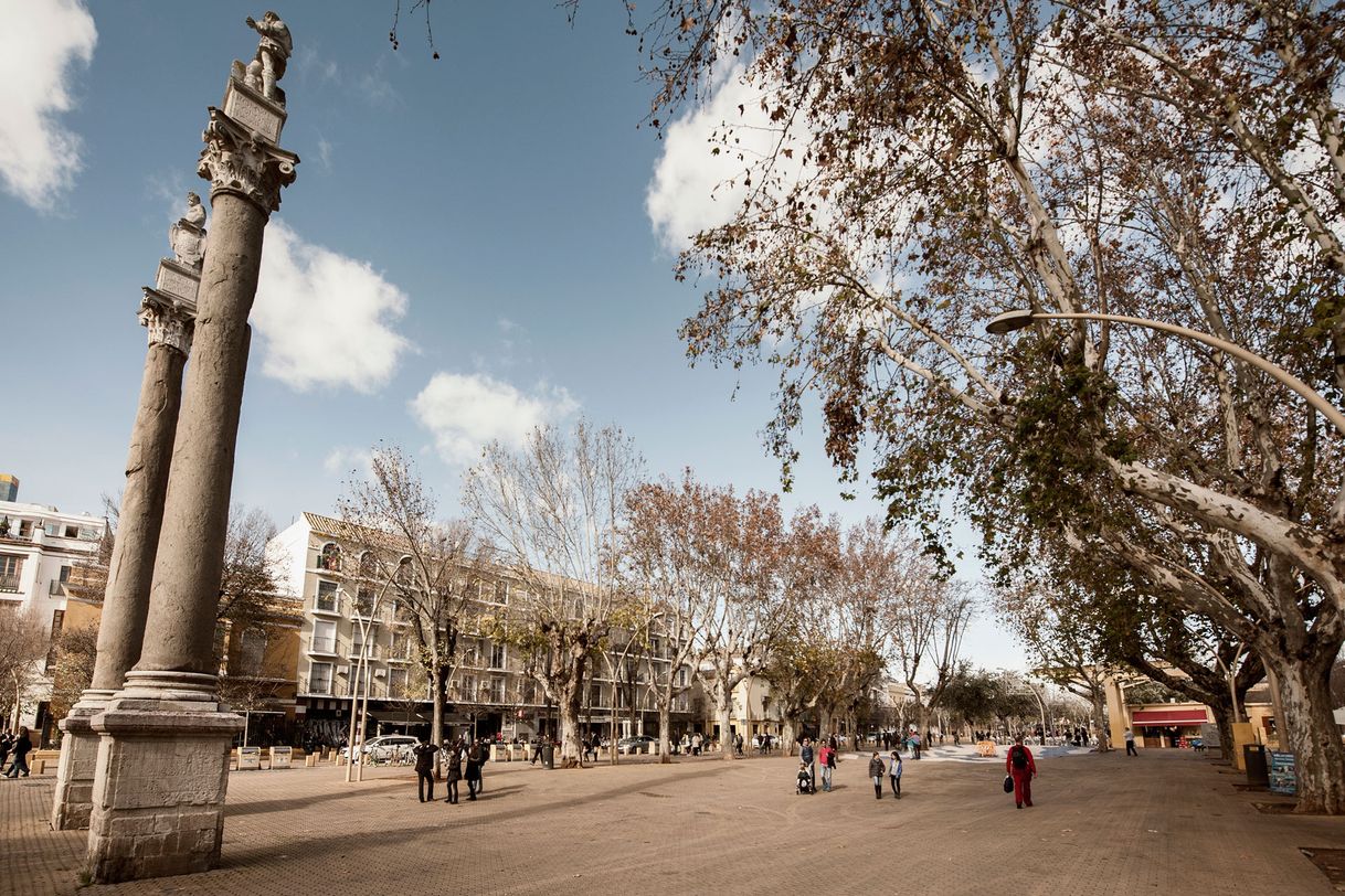 Lugares Alameda de Hércules