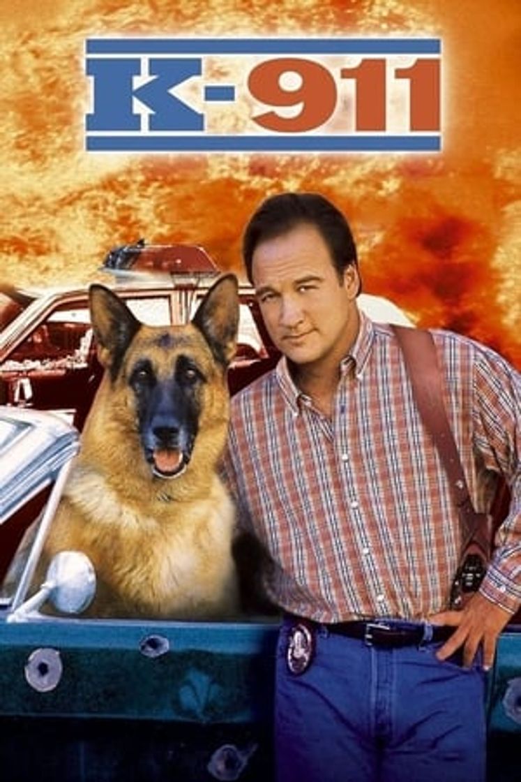 Película Superagente K-911