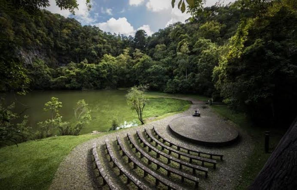 Lugar Universidade Livre do Meio Ambiente - UNILIVRE