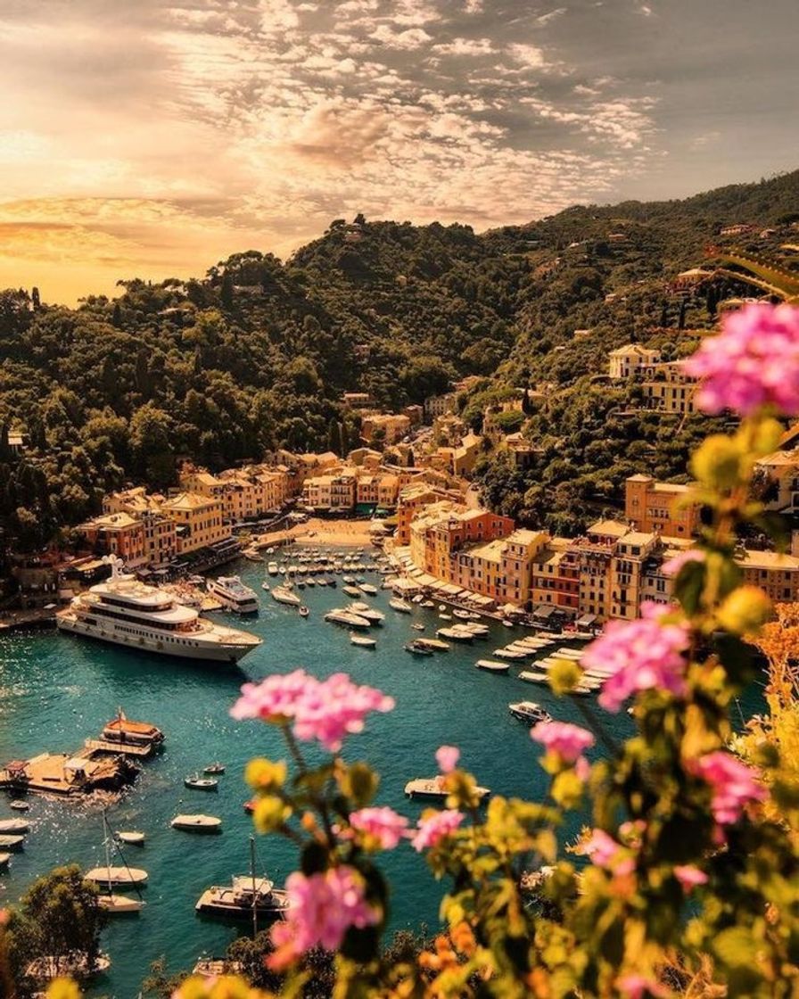 Moda Portofino- Itália 🇮🇹 