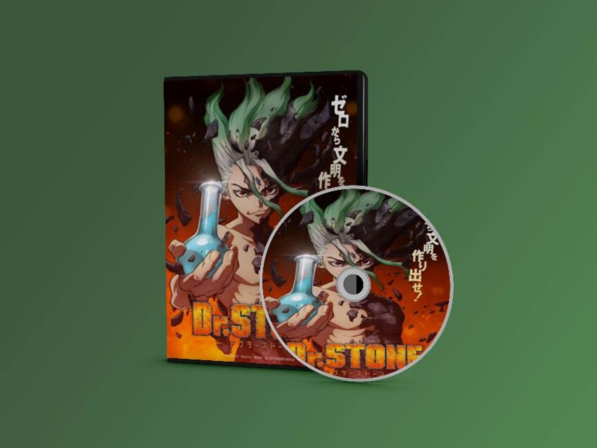 Dr. Stone