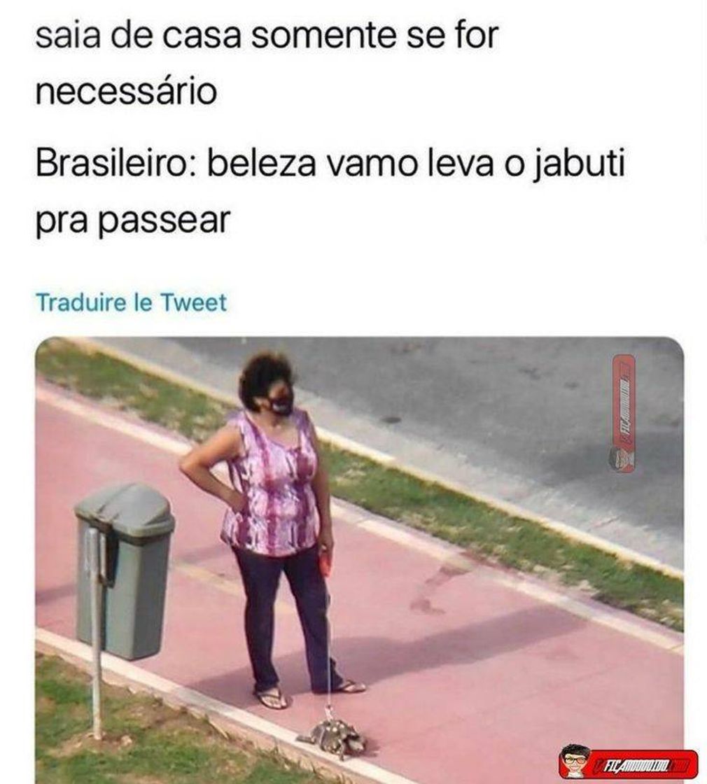 Social •M•E•M•E•S•