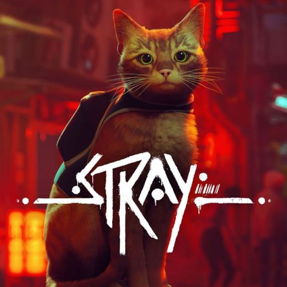 Videojuegos Stray