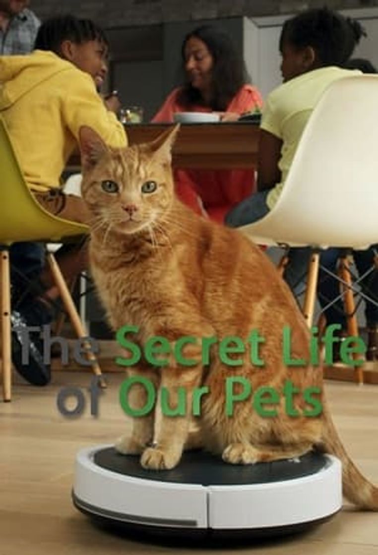 Serie La vida secreta de nuestras mascotas