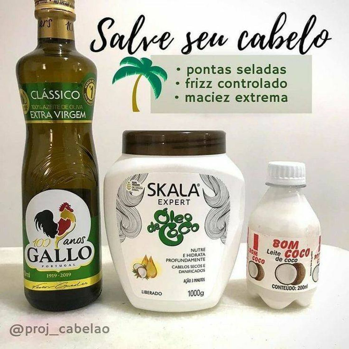 Fashion Nutrição caseira para cabelos