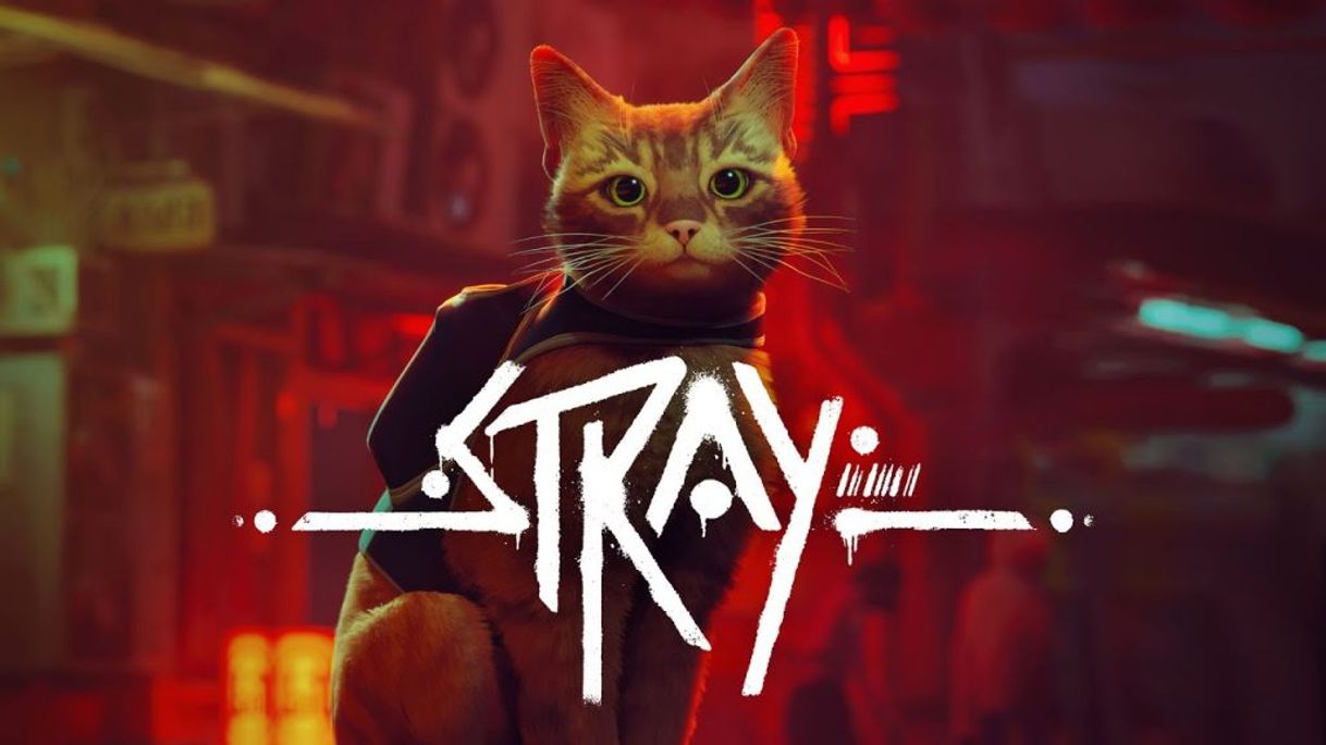 Videojuegos Stray (jogo do gatinho)