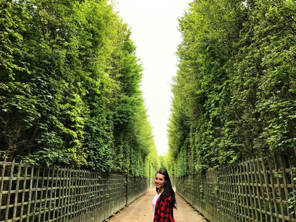 Lugar Jardins du Château de Versailles