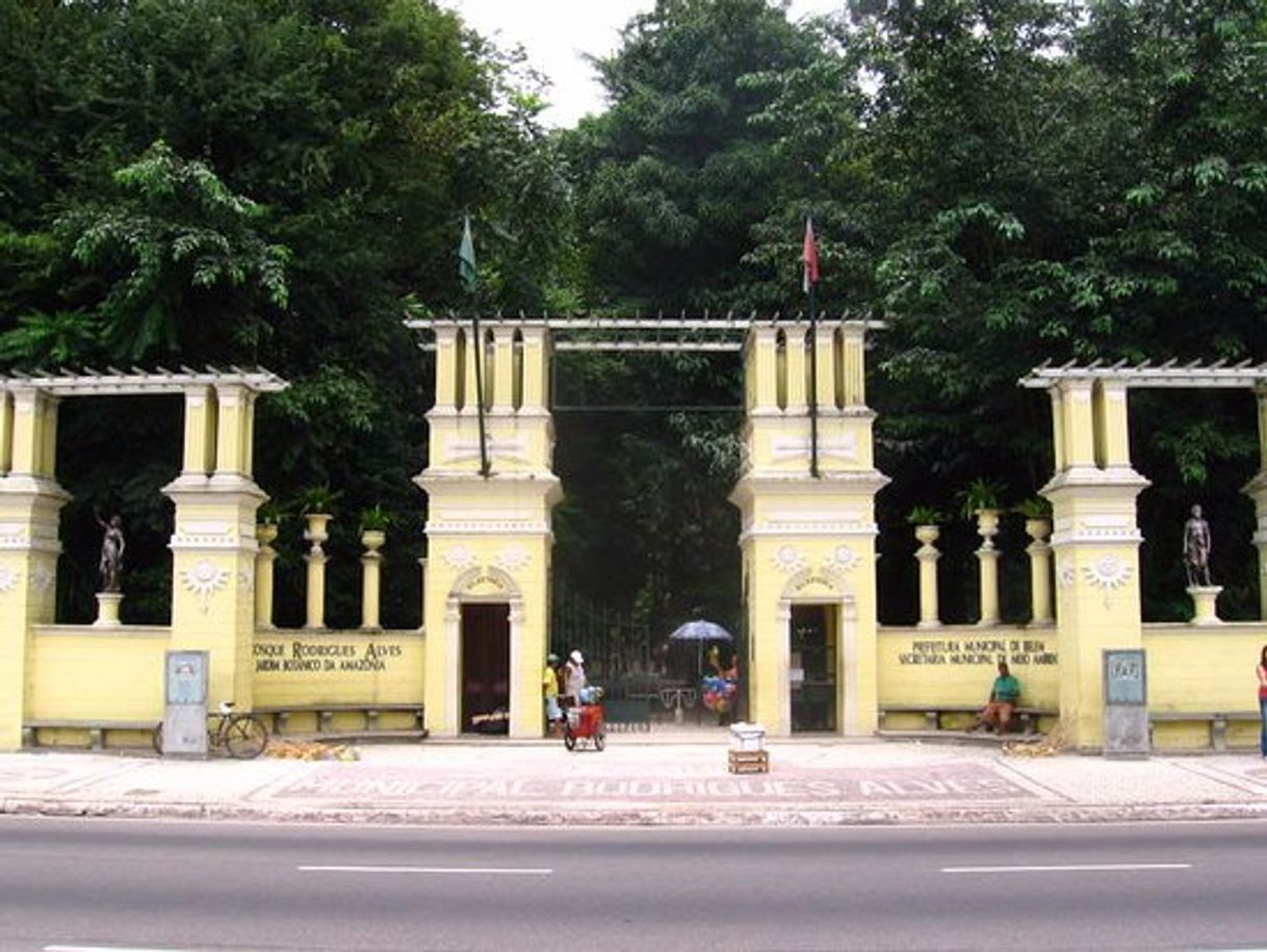 Lugar Bosque Rodrigues Alves Jardim Zoobotânico da Amazônia