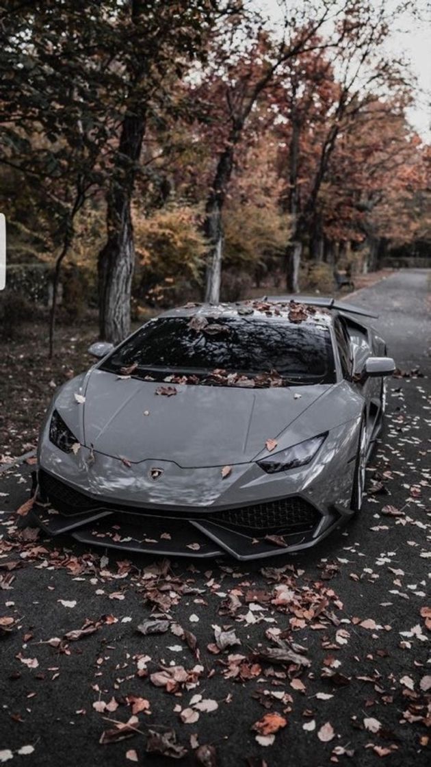 Moda Lamborghini linda cinza um carrão 